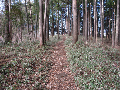 20161229hike (113)